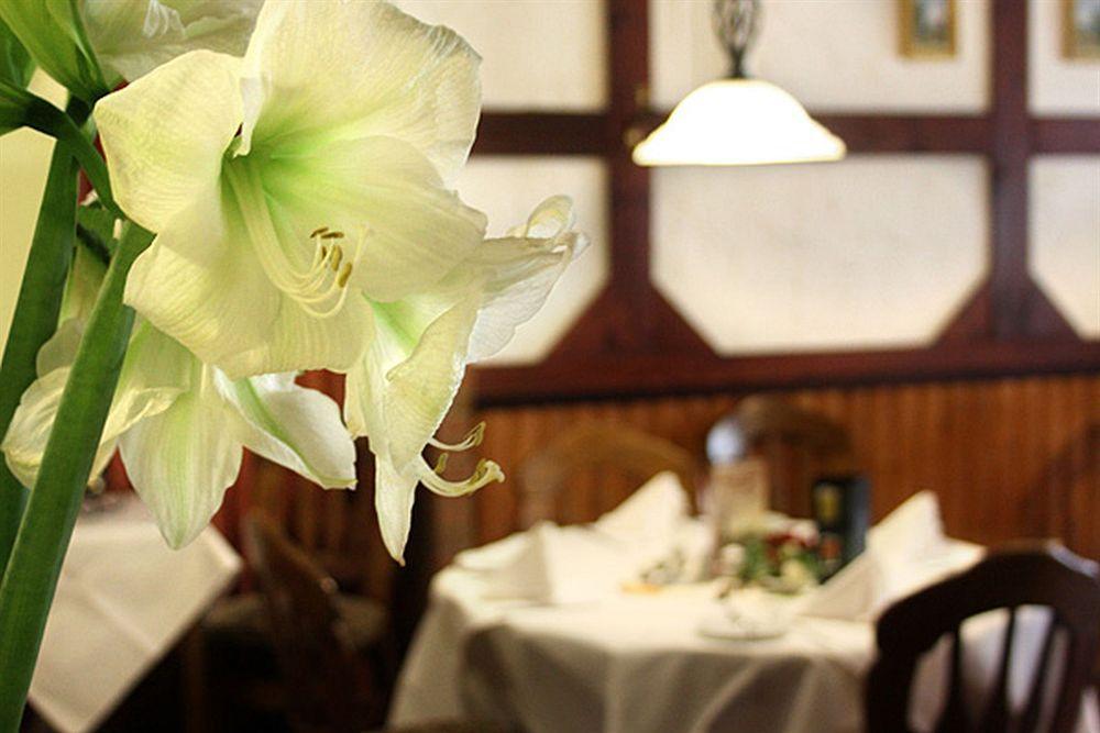 Hotel Kaiserquelle ザルツギッター エクステリア 写真